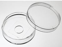 35mm玻片帶格子的玻底皿(格子在外面)格子大小0.6*0.6mm